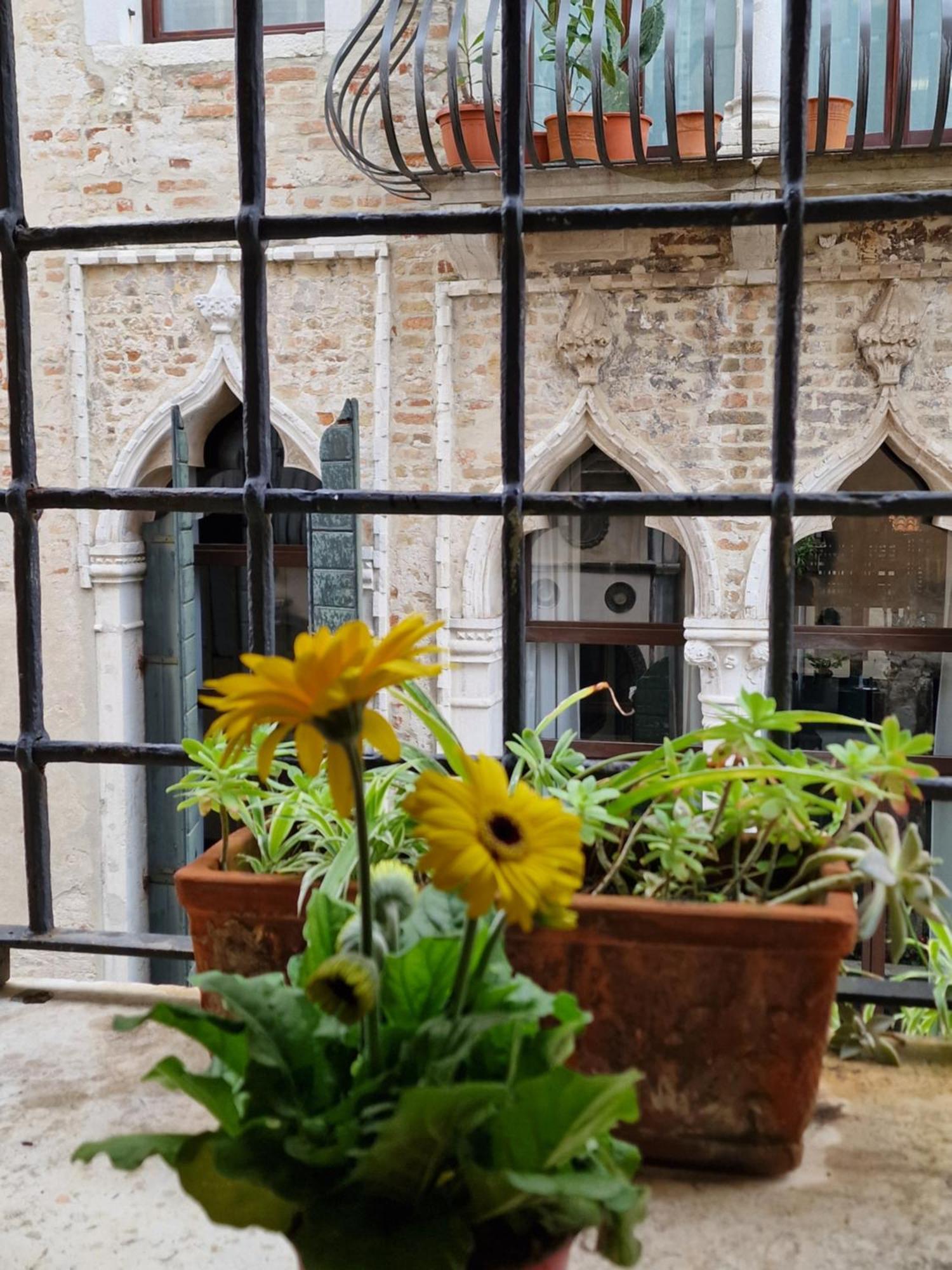 Ca Barbaro With Altana-appartamenti Storici- Venecia